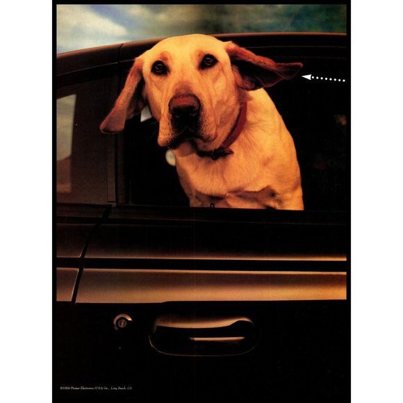 1994 Pioneer Car Stereo CD Changer 2 Page Vintage Print Ad Gold Retriever Dog - Picture 2 of 3